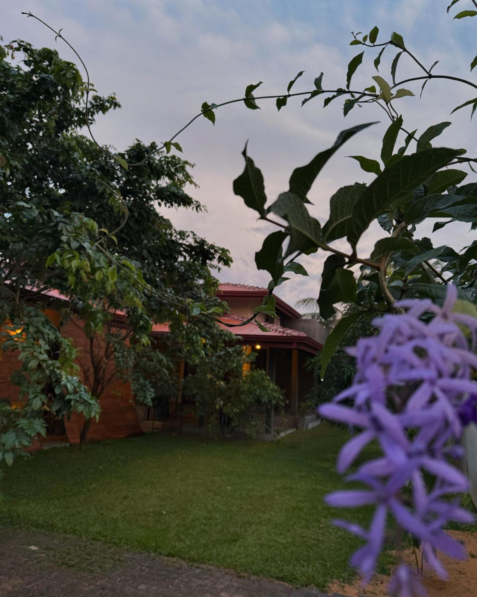 Negombo 146 Homestay Bagian luar foto